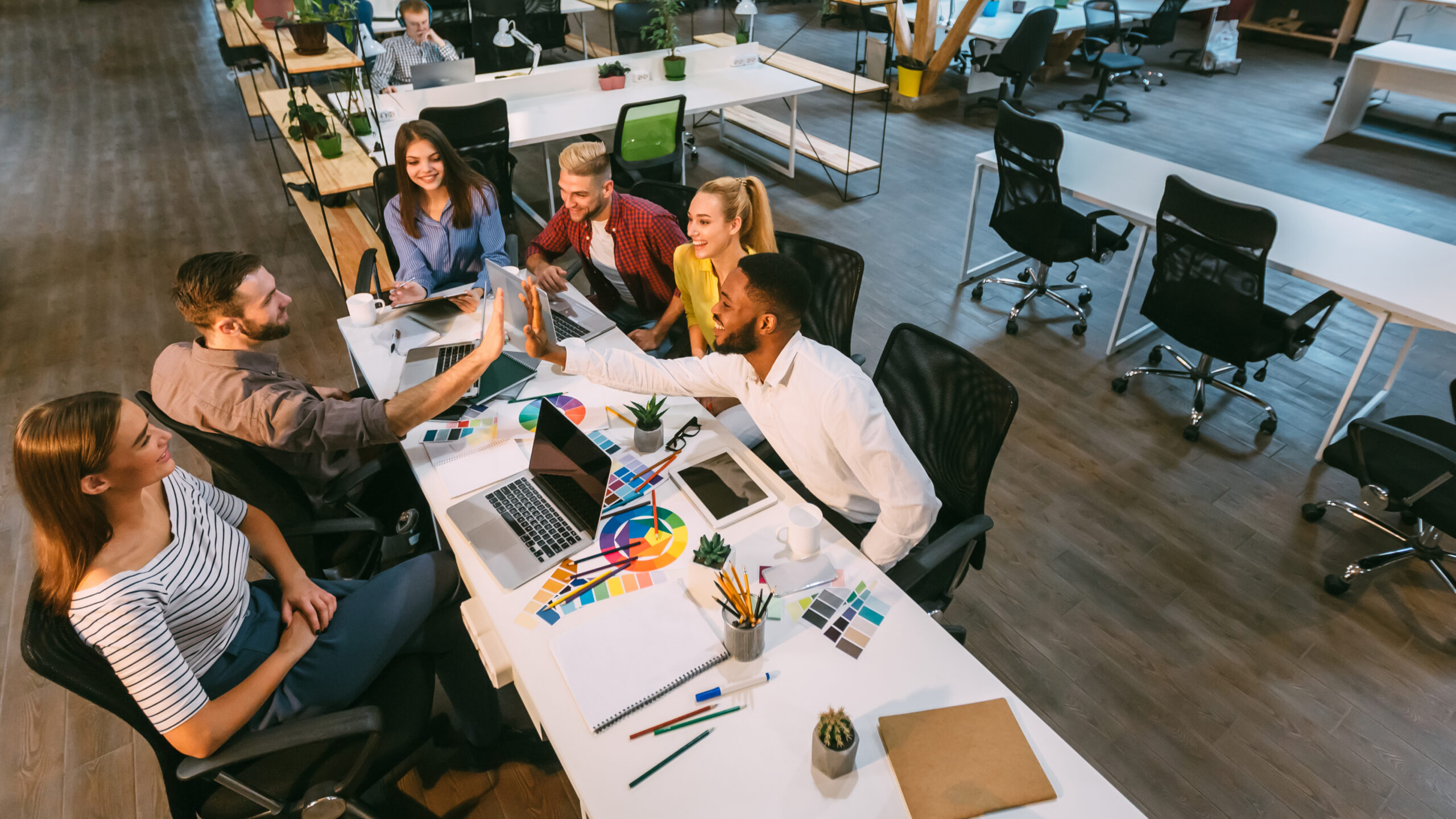 Successful designer team working with color palettes and laptops in office, men high fiving